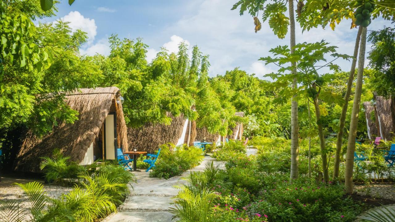 Amalife Beach Club & Hotel Tierra Bomba Exterior foto
