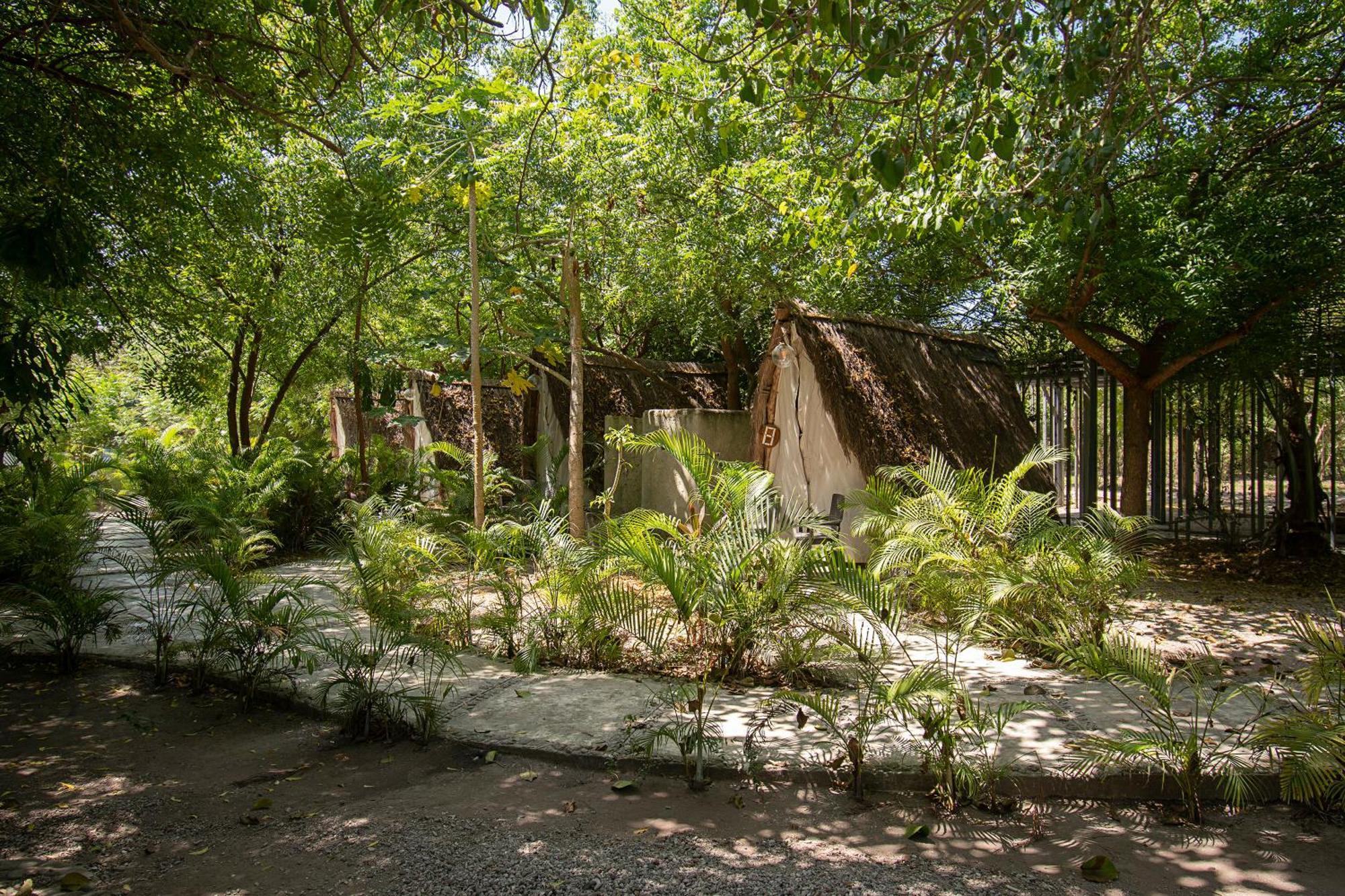 Amalife Beach Club & Hotel Tierra Bomba Exterior foto
