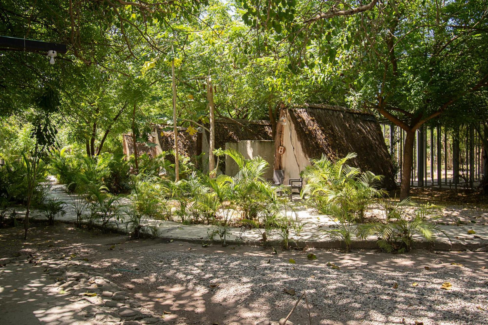 Amalife Beach Club & Hotel Tierra Bomba Exterior foto